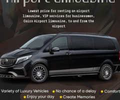 Airport Limousine Services & Mercedes S-Class with Driver