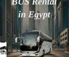 VIP Bus: Luxor, Hatshepsut Temple, Colossi of Memnon