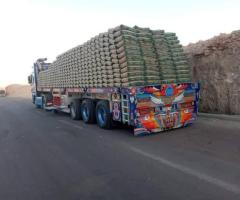 اسمنت