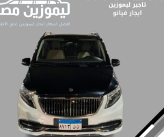 Hire a Mercedes Viano for a Custom Tourism Itinerary.