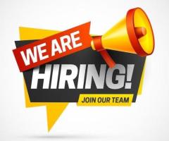 فرصه عمل (للاناث فقط)