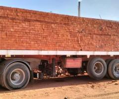 شركه النور الطوب الاحمر الطفلي