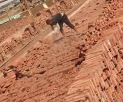 شركه النور الطوب الاحمر الطفلي