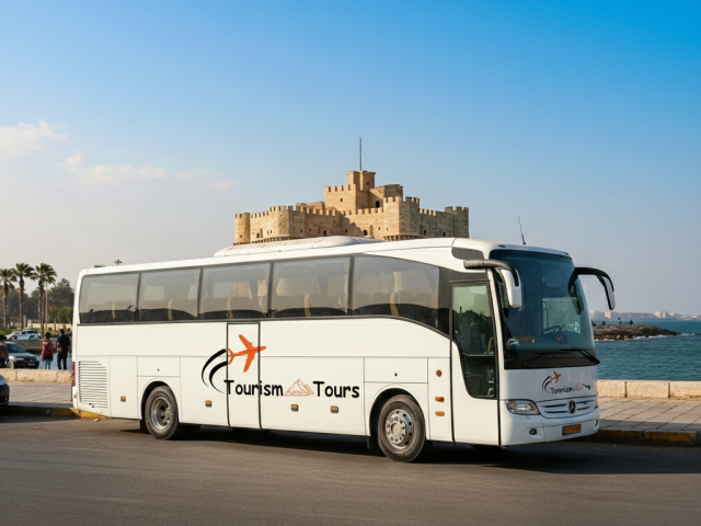 إيجار أتوبيس 50 راكب سياحي.. عملاق الفخامة لرحلاتك الجماعية