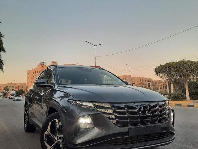 إيجار هيونداي توسان بالسائق واستمتع بتسفير مجاني عند حجز جولتك السياحية.